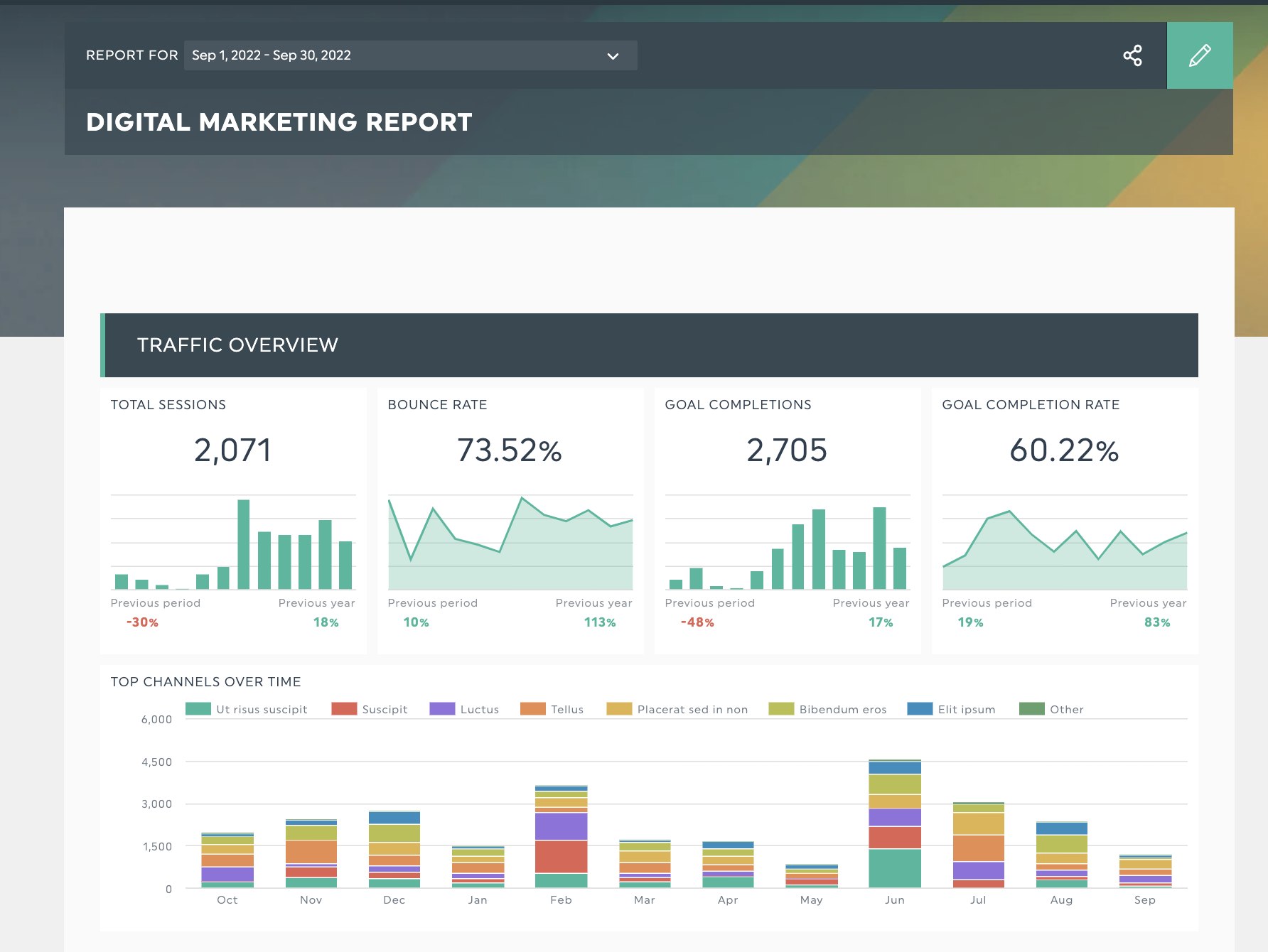 digital marketing report