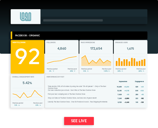 Social media report template