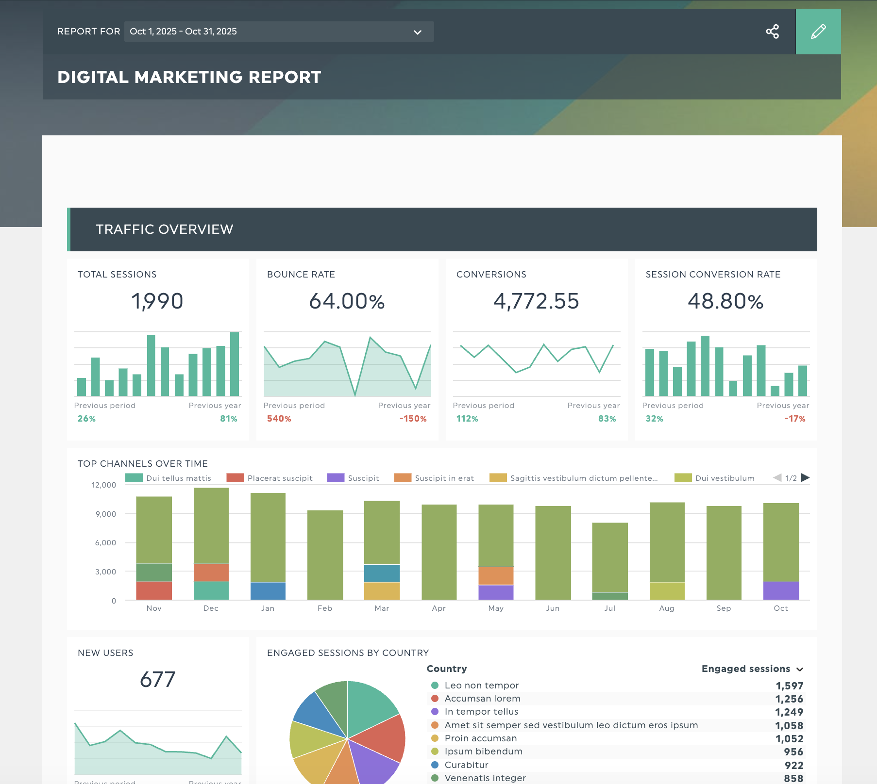 digital marketing report